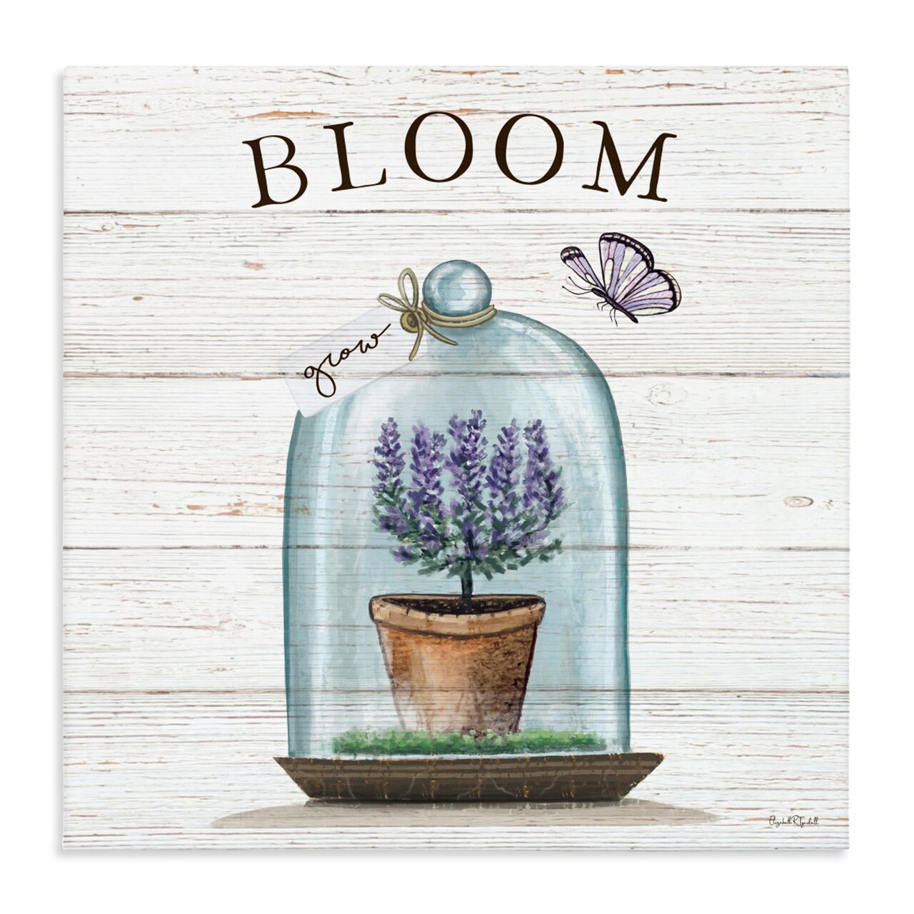 Stupell Industries Cottage Bloom in Bell Jar Canvas, design by Elizabeth Tyndall